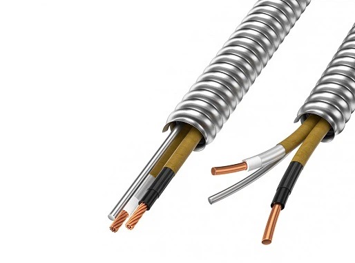 BX or AC (Armored Cable) in Home